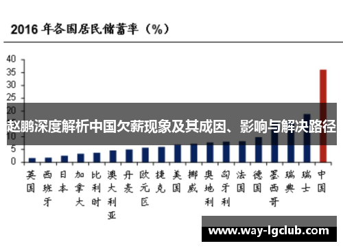 赵鹏深度解析中国欠薪现象及其成因、影响与解决路径