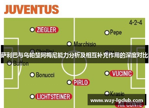 萨利巴与乌帕楚阿梅尼能力分析及相互补充作用的深度对比