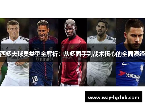 西多夫球员类型全解析：从多面手到战术核心的全面演绎