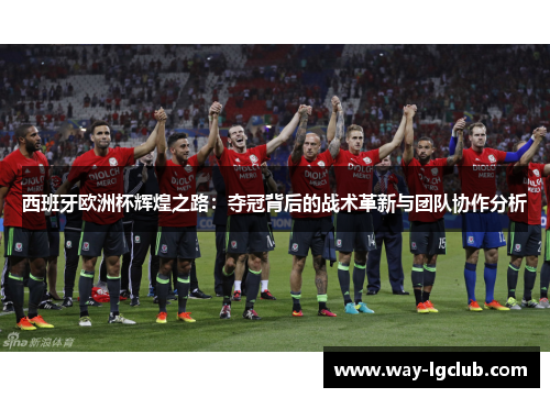 西班牙欧洲杯辉煌之路：夺冠背后的战术革新与团队协作分析